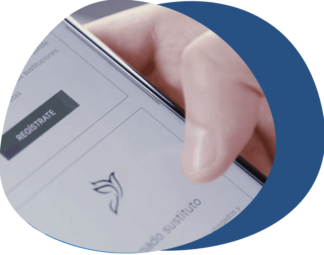 optima solutions y legal pigeon