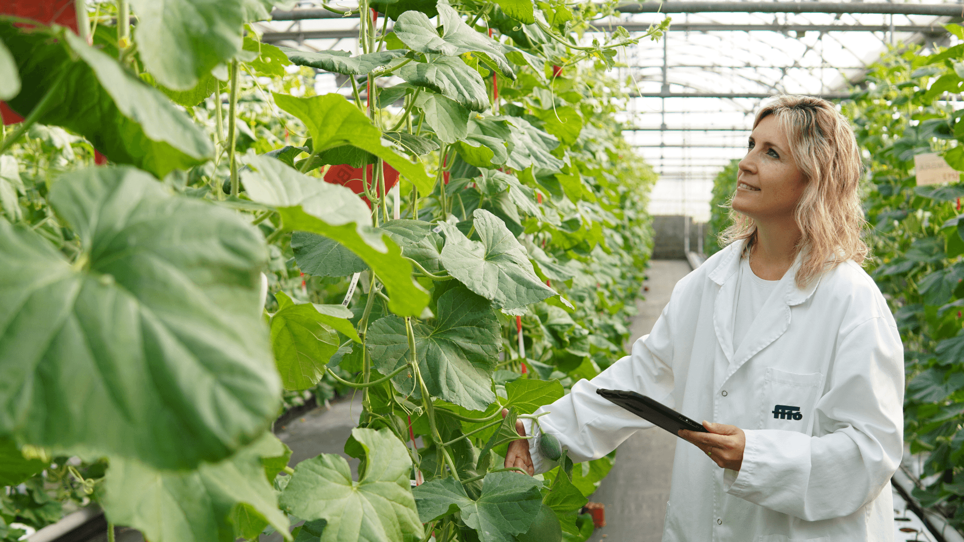 caso exito semillas fito caso exito semillas fito